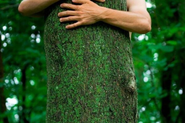 abrazos-arbol-baños-de-bosque