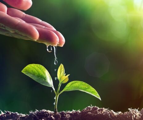 rsc-aprendizaje-ambiental-activity-leraning