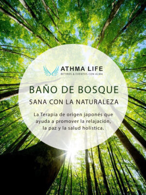Baños de Bosque_RSC4